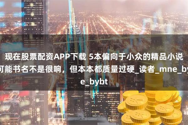 现在股票配资APP下载 5本偏向于小众的精品小说，可能书名不是很响，但本本都质量过硬_读者_mne_bybt