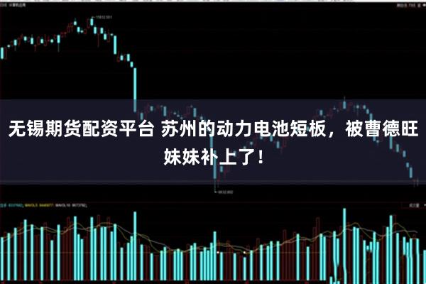 无锡期货配资平台 苏州的动力电池短板，被曹德旺妹妹补上了！